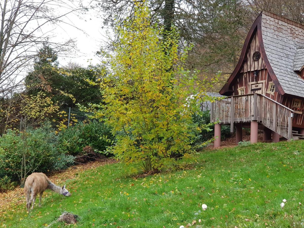 Hexenhaeuschen Am Waldrand Villa Annweiler am Trifels Exterior photo